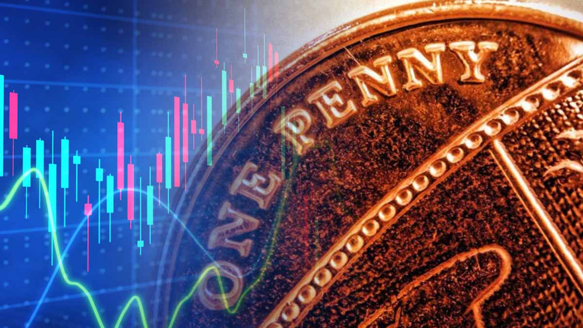专业配资股票 大和:重申海丰国际买入评级 目标价下调至17.5港元